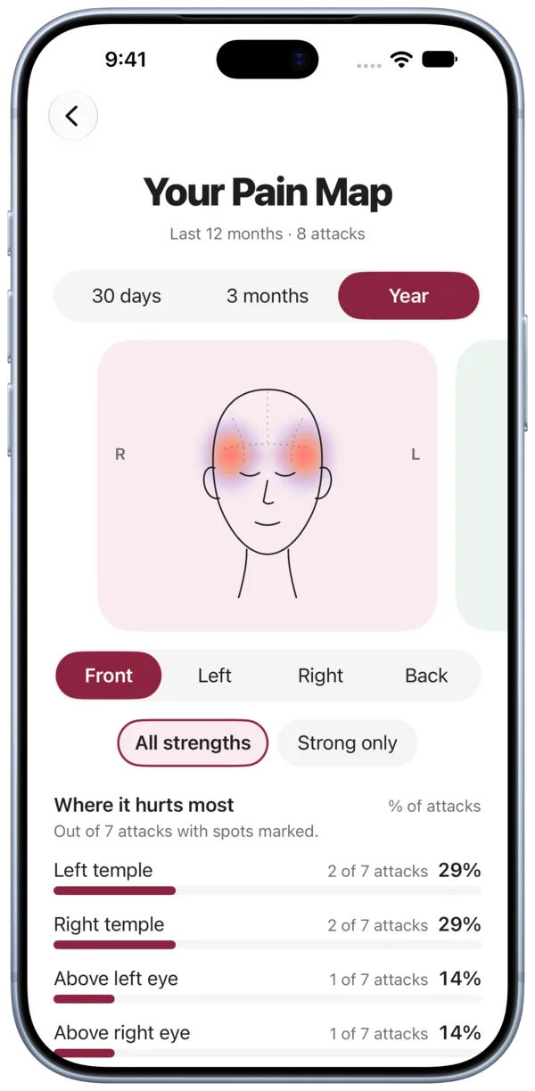 Pain map for the last 12 months